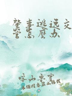 肇事逃逸交警不管怎么办