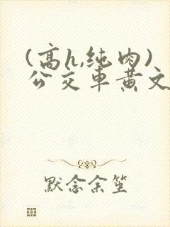 (高h,纯肉)公交车黄文