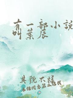 有一部小说主角叫叶辰