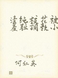 清纯校花被民工羞耻调教小说