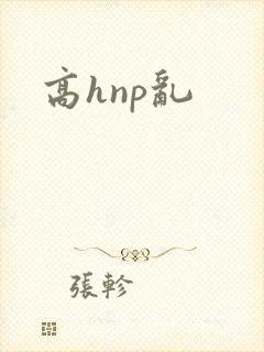 高hnp乱
