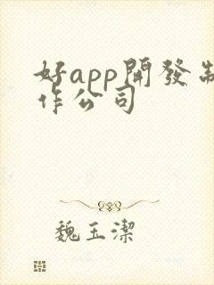 好app开发制作公司