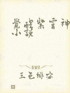 觉醒紫霄神雷的小说