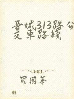 晋城313路公交车路线