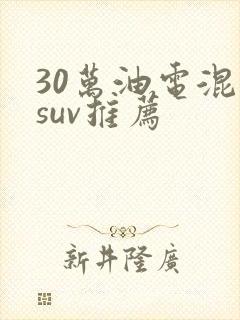 30万油电混动suv推荐