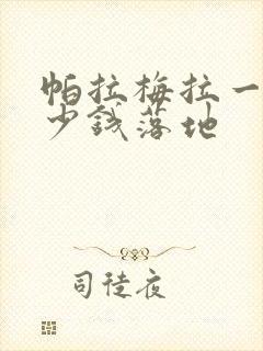 帕拉梅拉一般多少钱落地