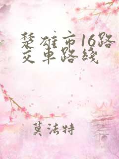 楚雄市16路公交车路线