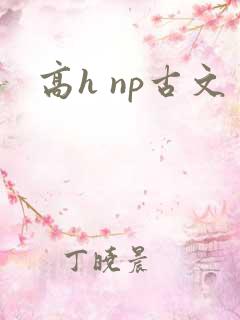 高h np古文 高h np古文