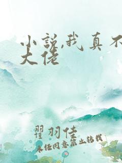 小说,我真不是大佬