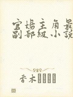 官场主角最年轻副部级小说 官场主角最年轻副部级小说