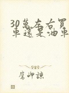 30万左右买电车还是油车