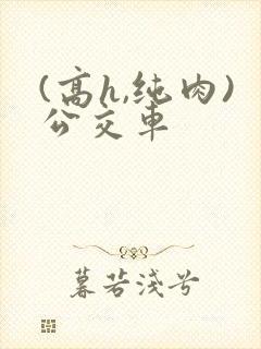 (高h,纯肉)公交车