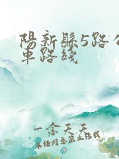 阳新县5路公交车路线