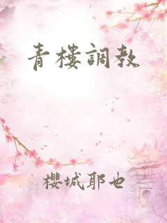 青楼调教