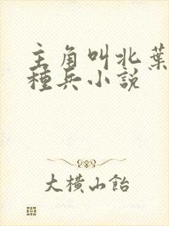 主角叫北叶的特种兵小说