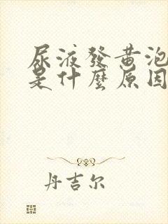 尿液发黄泡泡多是什么原因
