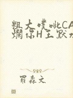 粗大噗呲CAO烂你H王默水王子