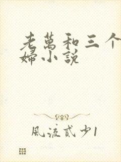 老万和三个儿媳妇小说