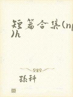 短篇合集(np)h