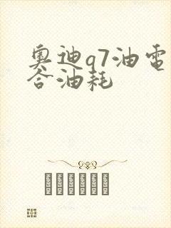 奥迪q7油电混合油耗