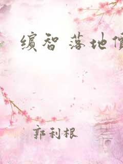 缤智 落地价格