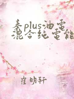 秦plus油电混合纯电能跑多少公里