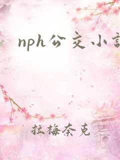nph公交小说