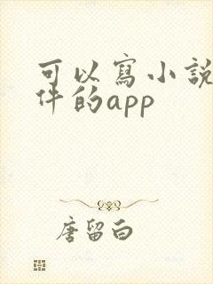 可以写小说的软件的app