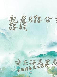 龙岩8路公交车路线