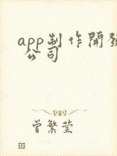 app制作开发 公司 app制作开发 公司