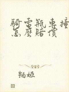 骑电瓶车撞死人怎么赔偿