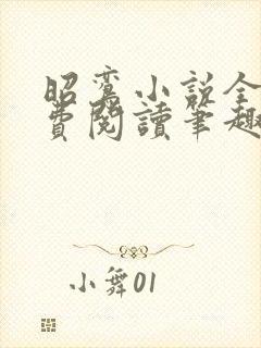 昭鸾小说全文免费阅读笔趣阁