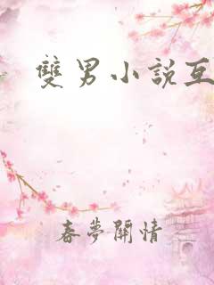 双男小说互攻