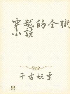 穿越的全职法师小说