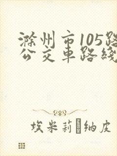 滁州市105路公交车路线图