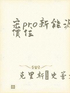 宋pro新能源价位 宋pro新能源价位