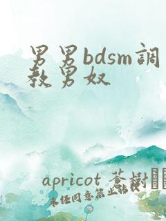 男男bdsm调教男奴