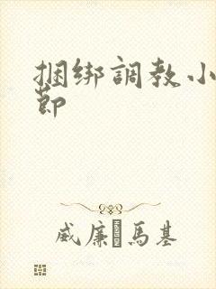 捆绑调教小说章节
