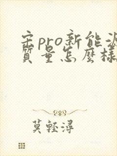 宋pro新能源质量怎么样 宋pro新能源质量怎么样