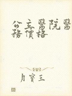 公立医院医疗服务价格
