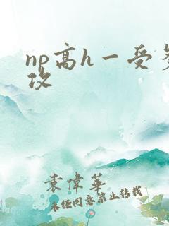 np高h一受多攻