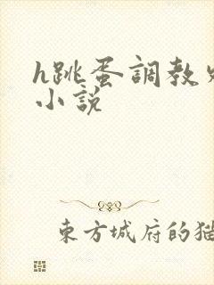h跳蛋调教外出小说