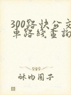 300路快公交车路线查询