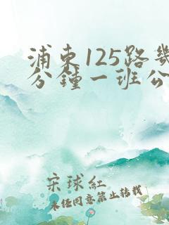 浦东125路几分钟一班公交车
