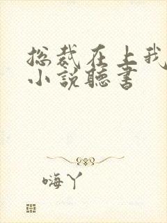 总裁在上我在下小说听书