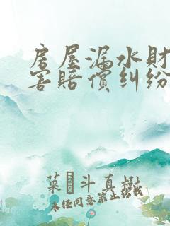 房屋漏水财产损害赔偿纠纷