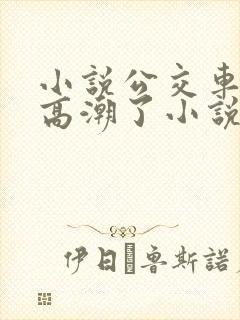 小说公交车被上高潮了小说