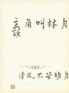 主角叫林月的小说