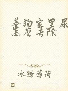 养狗家里尿骚味怎么去除