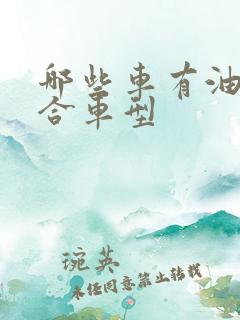 哪些车有油电混合车型